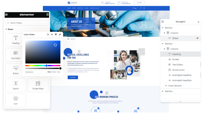 Elementor Color