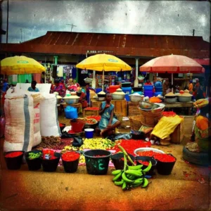 tomatoes in the market