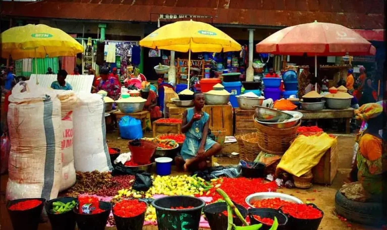 tomatoes in the market