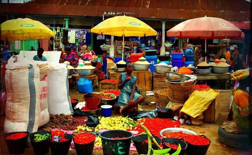 tomatoes in the market