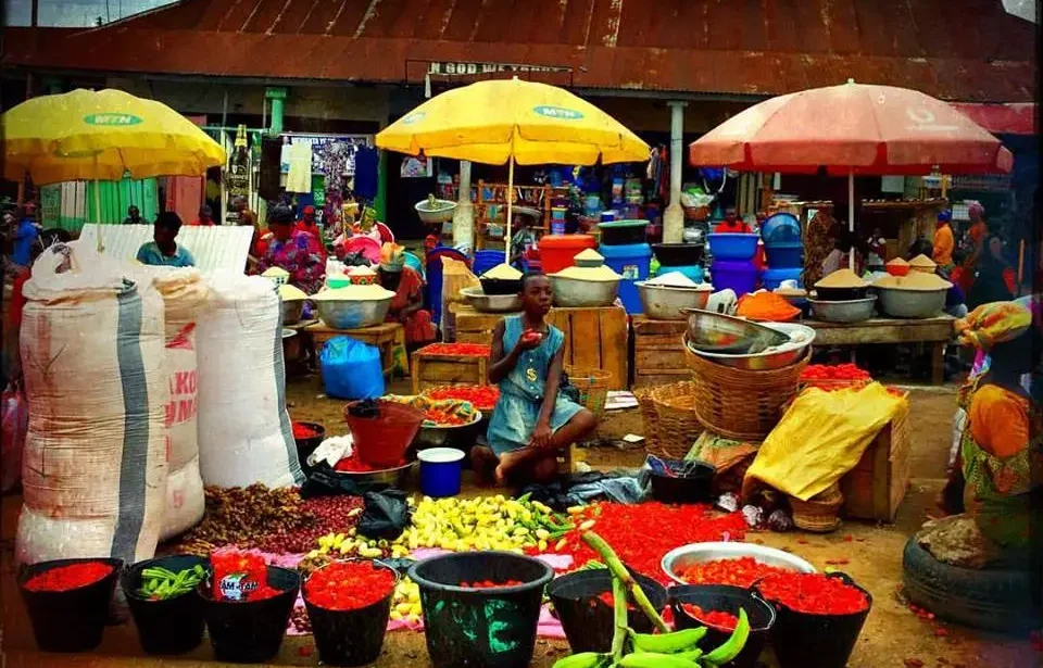 tomatoes in the market
